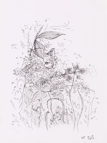 Voorraad Pen Illustratie Van Kat Gras Bloemen Origineel Kunstwerk Papier — Stockfoto