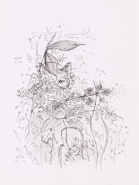 Voorraad Pen Illustratie Van Kat Gras Bloemen Origineel Kunstwerk Papier — Stockfoto