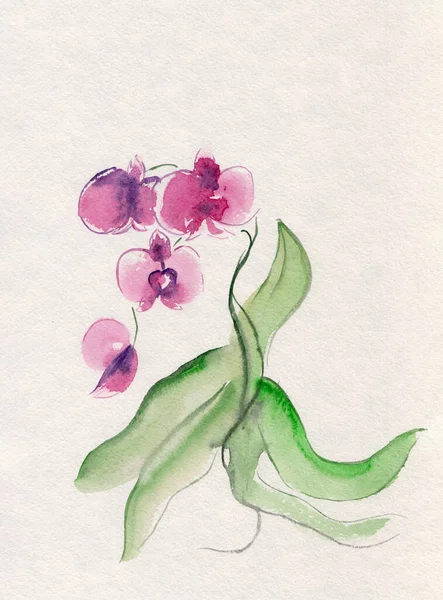 Watercolor Stock Illustration Purple Orchid Abstract Chinese Ink Style Painting — Stock Photo, Image