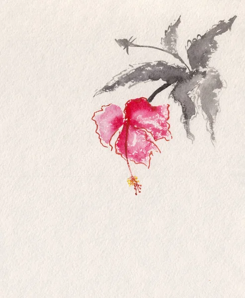 Watercolor Painting Blooming Hibiscus Hand Drawn Oriental Red Flower Concept — Stock Photo, Image