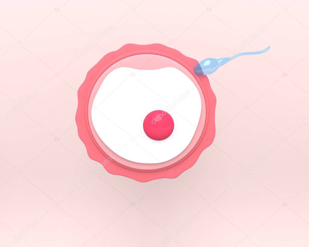 Ovule with sperm, female fertility cell. Oocyte. Woman reproductive system, gametogenesis. The stage of fertilization. 3d rendered medical illustration.