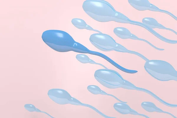 Cellule Spermatiche Maschili Illustrazione — Foto Stock