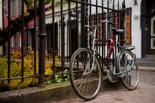 Bicicleta — Fotografia de Stock