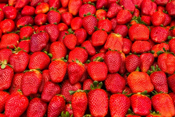 草莓山 — 图库照片