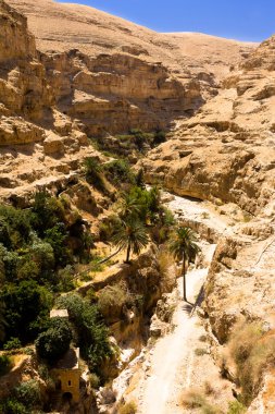 Wadi Qelt, Judean Desert çölde uzun yolda