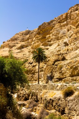 Uzun yol tepeye, palm, Wadi Qelt