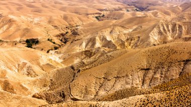 Musevi Desert,Israel.Panoramic dağlarında