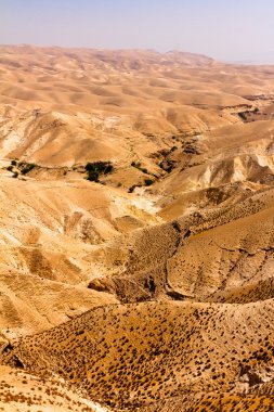 Judean Desert dağlarında