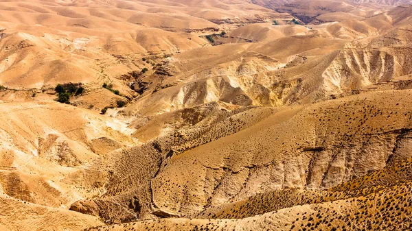 ユダヤの Desert,Israel.Panoramic の山 — ストック写真