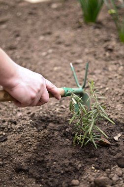 Bahçede bahar çalışması