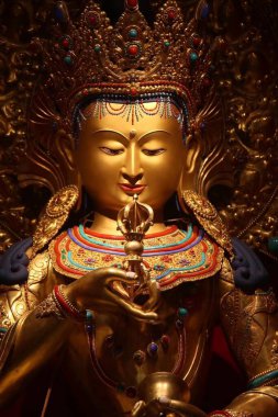 Buda Vajrasattva (Dorje Sems-dpa), Karmanın arındırılması için yapılan tantrik meditasyondur. Bir Mahayana uygulaması olarak, mümkün olan en kısa sürede aydınlanmaya ulaşmak için tüm karmamızı arındırmayı amaçlayan bir vucut-hichitta ile gerçekleştirilmiştir.. 