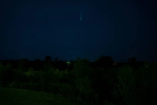 Gece gökyüzünde Minnesota kırsalındaki ağaçların üzerinde kuyruklu yıldız neowise