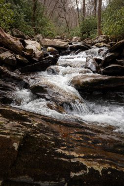 Ormandaki ahşap köprünün altındaki şelale.