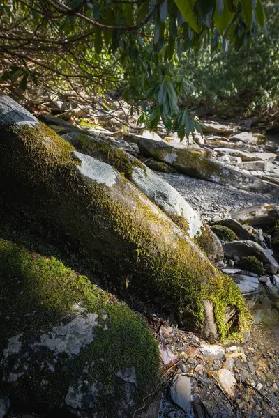 Mossiga Klippor Längs Stigen Nationalparken — Stockfoto