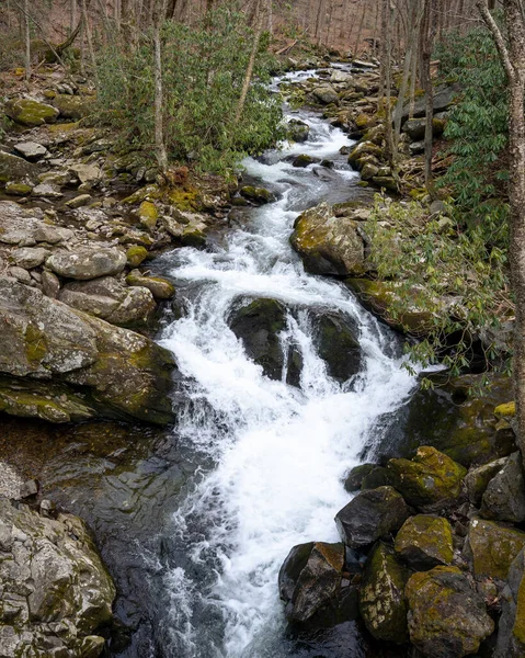 Pequenas Cascatas Floresta Grande Nação Montanhas Fumegantes — Fotografia de Stock