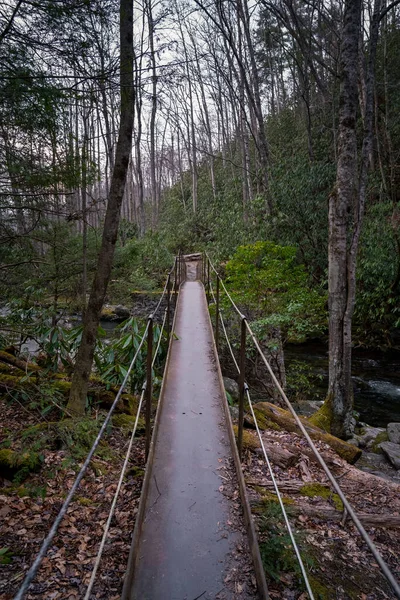 Ponte Metal Velho Sobre Pino Thunderhead — Fotografia de Stock