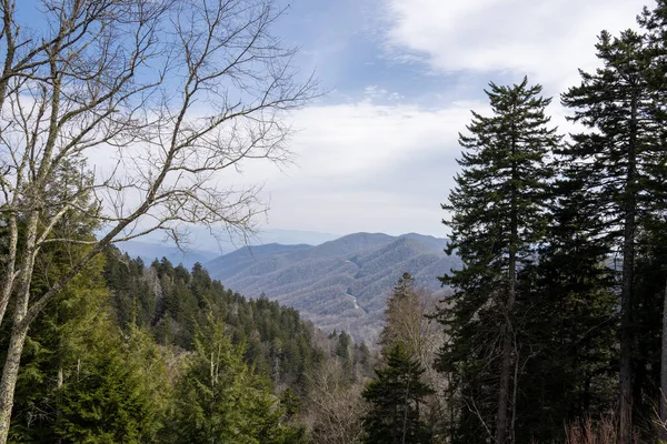 Mountain Highway Seen Trees Mountain Top — Stock Photo, Image