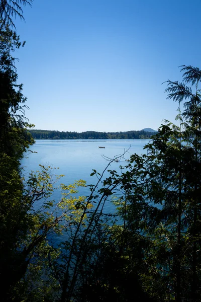 Langes Boot Auf Dem Quinault See — Stockfoto