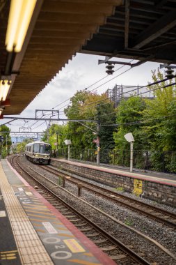 Ağaçlar ve üstten kablolarla çevrili bir istasyon platformuna bir tren yaklaşıyor..
