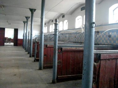 Rusya, Kalininingrad bölgesi, atlar ve eski ahırlar