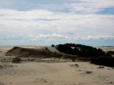 Rusya, Kalininingrad bölgesi, Curonian salyası