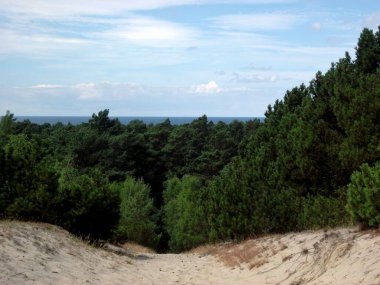 Rusya, Kalininingrad bölgesi, Curonian salyası