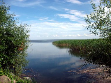 Rusya, Kalininingrad bölgesi, Curonian salyası