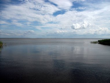 Rusya, Kalininingrad bölgesi, Curonian salyası