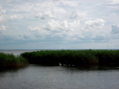 Rusya, Kalininingrad bölgesi, Curonian salyası