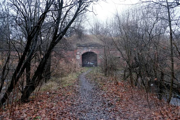 Les Murs Ancienne Forteresse Pillau Sous Pluie Ville Baltiysk Région — Photo