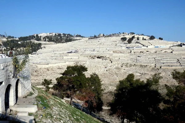 Jérusalem Mont Des Oliviers Cimetières Vue Vieille Ville — Photo