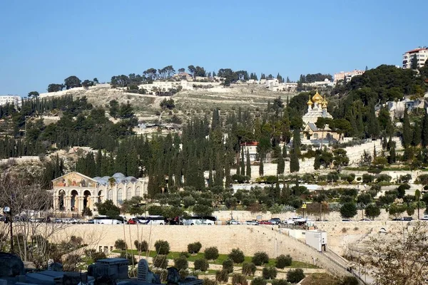 Monte Degli Ulivi Gerusalemme Veduta Dalla Porta Oro Della Città — Foto Stock
