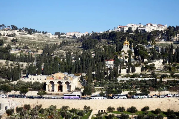 Ölberg Jerusalem Blick Vom Goldenen Tor Der Altstadt — Stockfoto