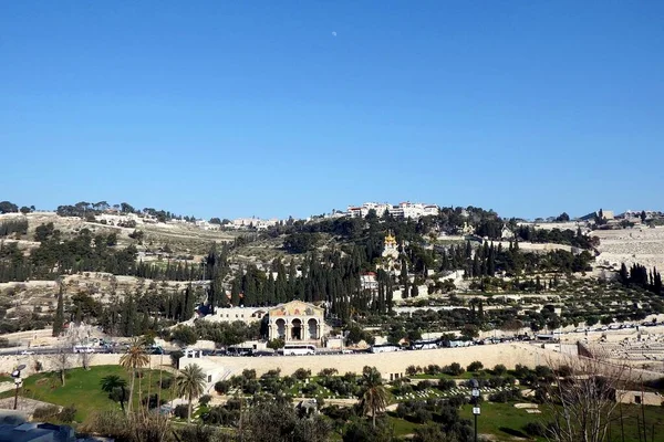 Ölberg Jerusalem Blick Vom Goldenen Tor Der Altstadt — Stockfoto
