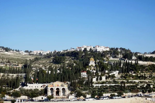 Ölberg Jerusalem Blick Vom Goldenen Tor Der Altstadt — Stockfoto