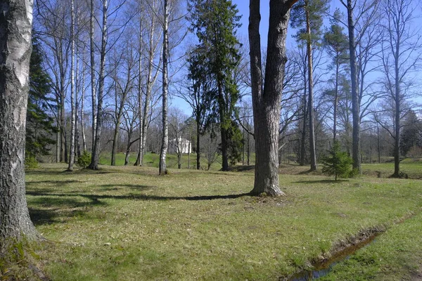 Parque Oranienbaum Lomonosov San Petersburgo Mayo 2021 — Foto de Stock