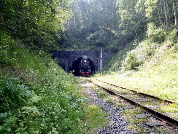 Circum Baikal Railway Rive Ouest Lac Baïkal Région Irkoutsk Russie — Photo