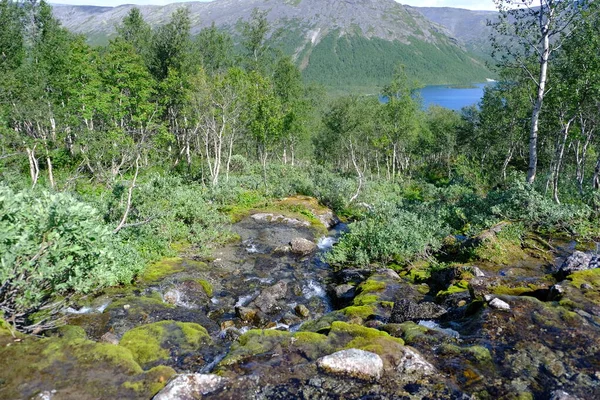 Khibiny Dağları Nda Murmansk Bölgesi Rusya — Stok fotoğraf