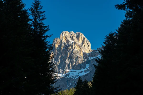 Pale San Martino pohoří s sníh rámují stromy, modrá obloha, Dolomity, Itálie — Stock fotografie