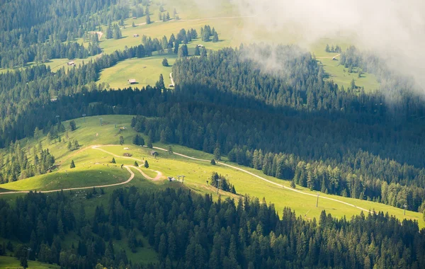 Widok na polnej drodze w łąki i lasy, Dolomity, Włochy — Zdjęcie stockowe