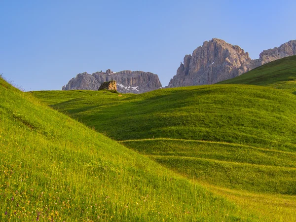 Yeşil otlar çayırlar dağlarda gündoğumu, Dolomites, İtalya