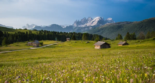 Cabanes de montagne dans les prairies fleuries au lever du soleil, Dolomites, Italie — Photo