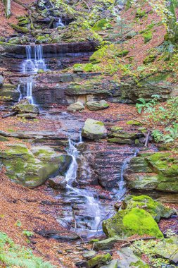 Foreste Casentinesi Np Güz, Toskana, Ital şelale
