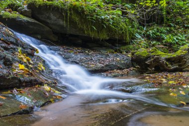 Foreste Casentinesi Np Güz, Toskana, Ital şelale