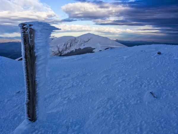 Frozen wood in the Apennines, Italy — Stock Photo, Image