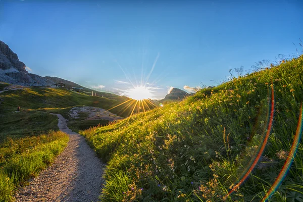 Sunset on a trail in the meadows, Dolomites, Veneto, Italy — Stock Photo, Image