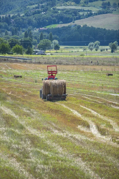 Traktor och hö balar i ett fält, Gubbio, Umbrien, Italien — Stockfoto