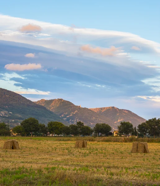 Hay bales in the meadows at sunset with blu sky and clouds, Gubb — Stock Photo, Image