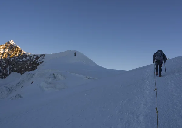 Klimmer op Monte Rosa, Alpen, Italië — Stockfoto