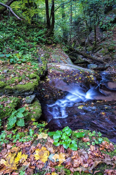 Foreste Casentinesi Np Güz, Toskana, Ital şelale